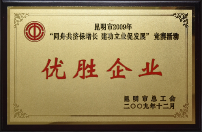 昆明市2009年 同舟共濟(jì)保增長 建功立業(yè)促發(fā)展 優(yōu)勝企業(yè)